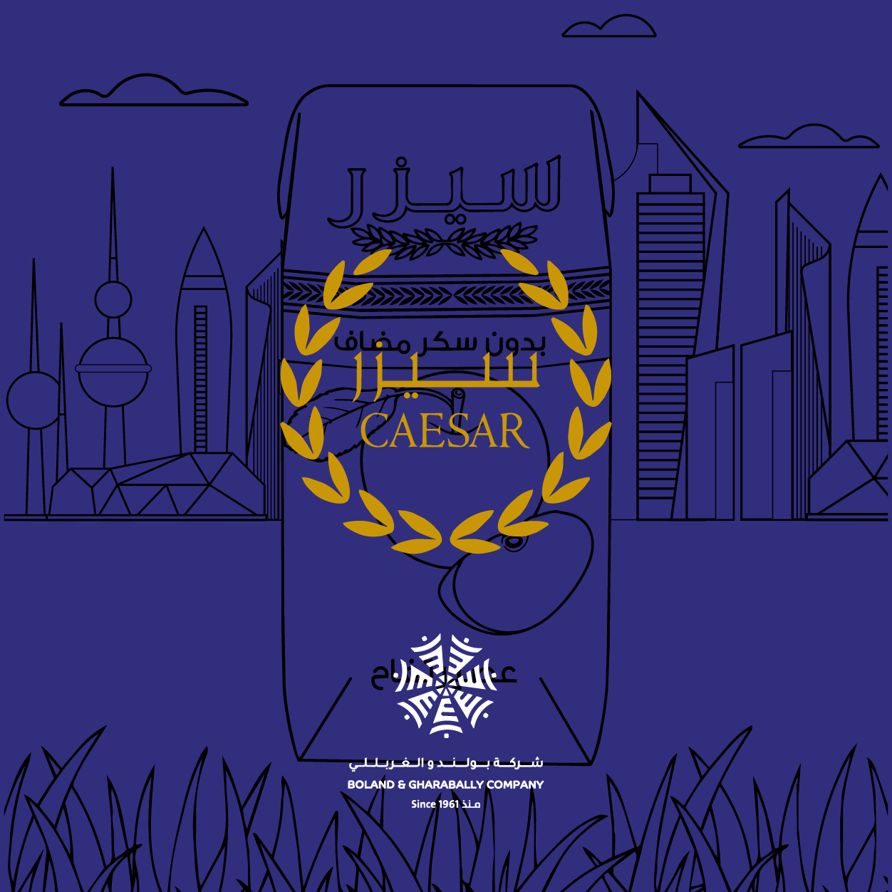 B&G - CAESAR